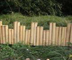 HBF-BE004(Natural)