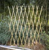 HBF-BT001 (Natural Trellis)