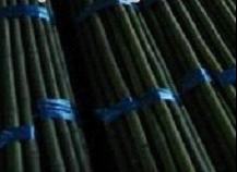 HBF-PL003 (Fresh Green Bamboo)