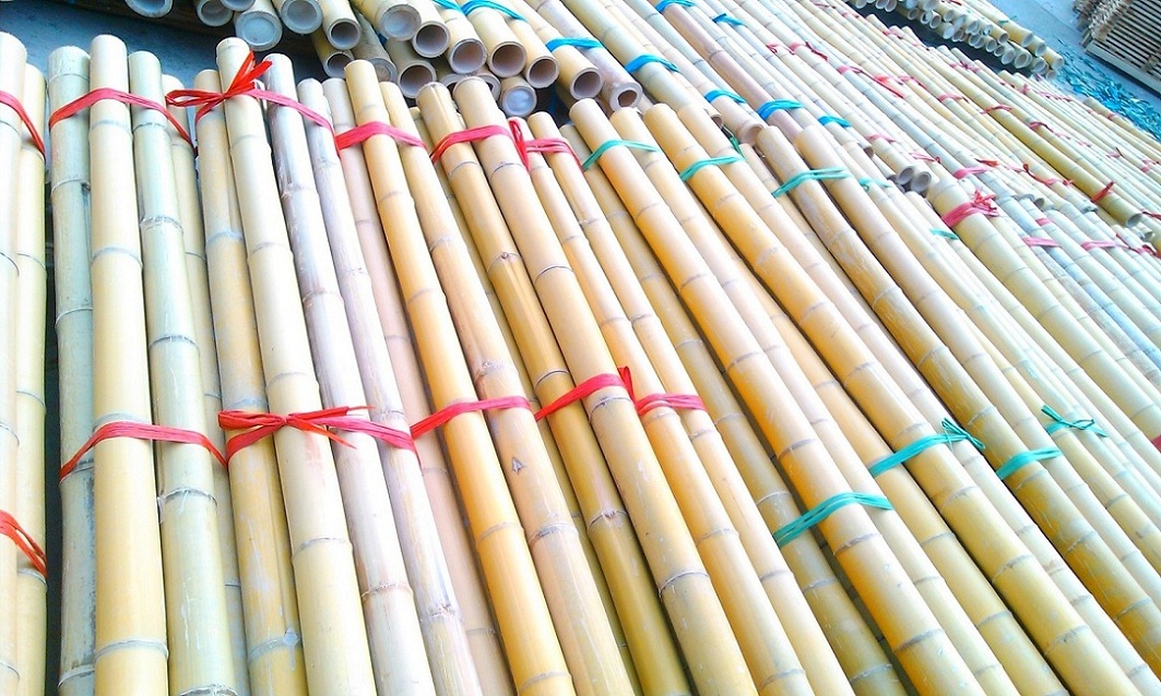 Bamboo poles