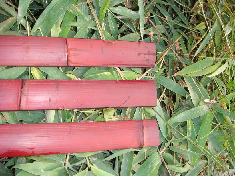 HBF-PL012(Mahogany Slats)