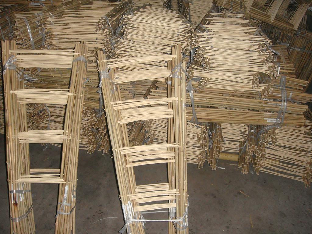 Bamboo ladder