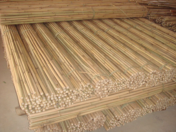 Bamboo canes