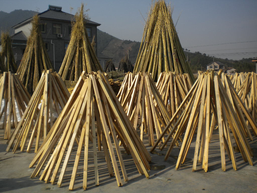 Bamboo poles